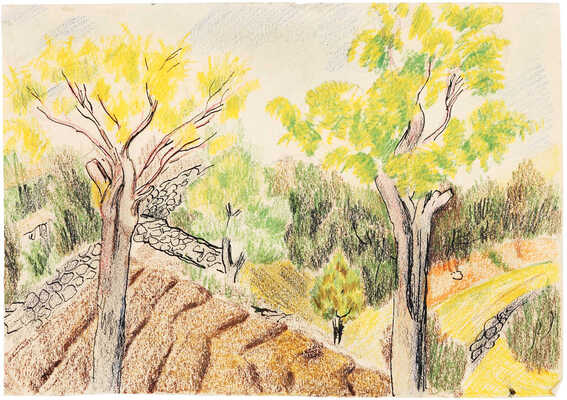 Дорфман Елизавета Григорьевна. Крым